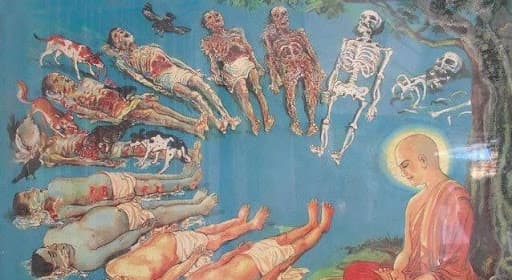 primary-banner