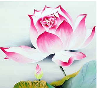 primary-banner