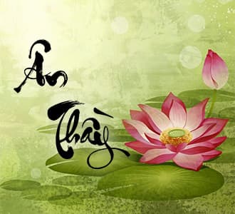 primary-banner