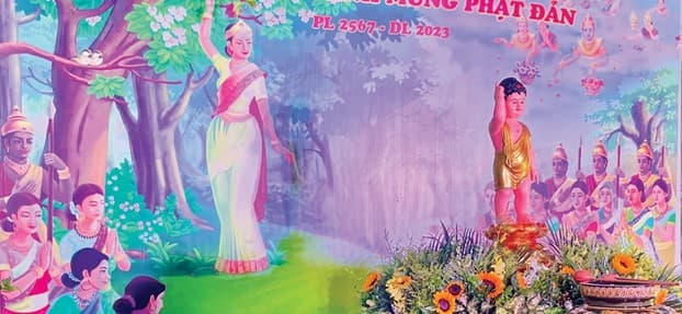 primary-banner